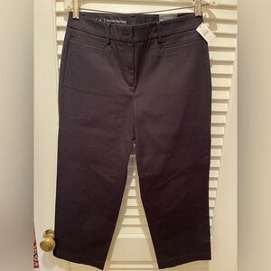 Talbots Chic Black Perfect Skimmer Pants